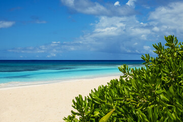A beautiful tropical beach with white sand against the backdrop of the azure ocean.