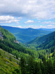 Obraz premium Scenic View of Lush Green Mountain Valley and Dense Evergreen Forest, Washington State