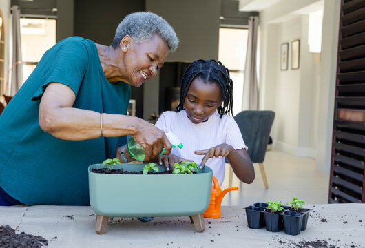 African female senior and child holding spray bottle, leaning on planter at home, misting seedlings