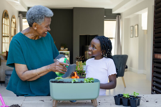 Senior woman and youth girl tending tabletop planter at home with spray bottle and orange tool