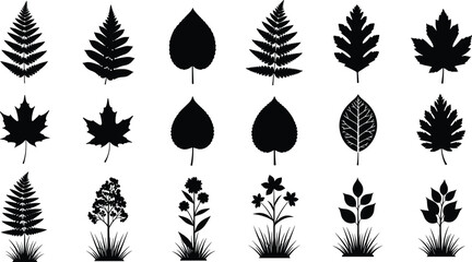 Black leaf silhouette vector set with fern fronds maple leaves botanical foliage forest plants garden flowers and meadow grass isolated on white background for nature design. © Itz  Parvin