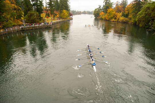 Canada, BC, Victoria.  Gorge waterway.  Head of the Gorge rowing regatta.  An eight person rowing shell passes through the gorge