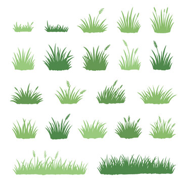 Green grass tufts and lawn plants set, meadow field foliage vector collection isolated on transparent background