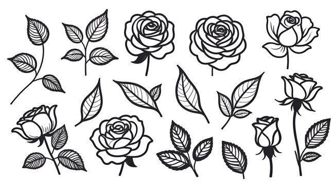 ose flower and leaf drawing illustration on white backgrounds. Flower icon. Set of decorative rose silhouettes. Vector rose isolated on white