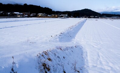 雪の田んぼ風景