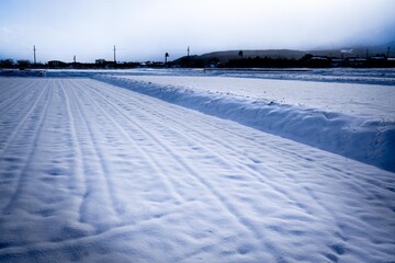 雪の田んぼ風景