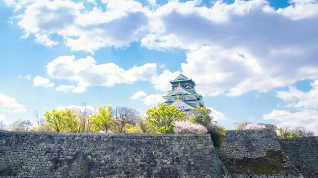 大阪城 満開の桜・ドローン風　タイムラプス
