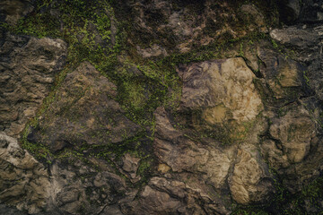 Stone texture  © avtk
