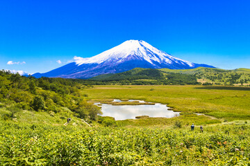 車山高原の美しい自然風景