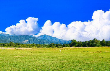 車山高原の美しい自然風景