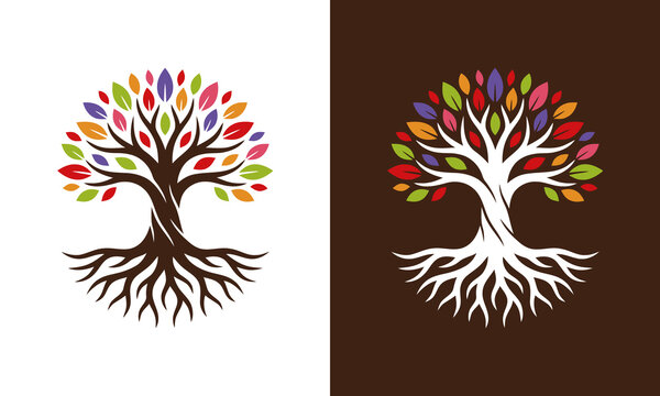 Creative colorful oak trees logo design template illustration