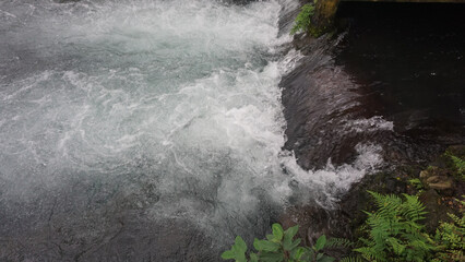 Obraz premium Small hidden waterfall surrounded by lush green moss and ferns