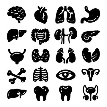 Black silhouette icon collection of various human organs including brain, liver, stomach, kidney, lungs, skeleton, and reproductive system isolated on white background