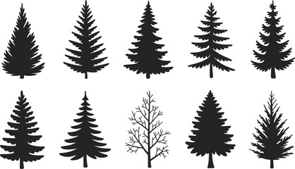 Silhouette collection of diverse tree shapes, coniferous and deciduous, forest design elements, natural illustration for creative projects © Joyaber's World