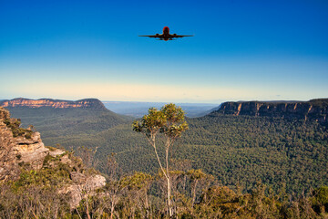 ブルーマウンテン国立公園のユーカリの原生林