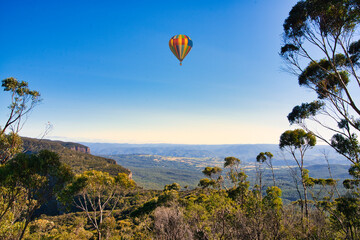 ブルーマウンテン国立公園のユーカリの原生林の景観