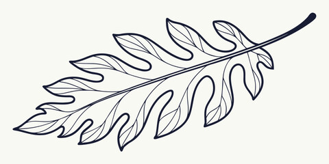 Obraz premium A detailed illustration of an oak leaf showcasing its intricate vein structure.