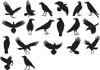 Obraz premium A collection of various black silhouettes of birds in flight and at rest.