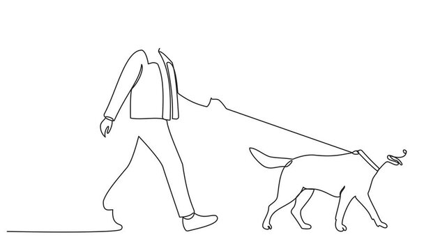 Self drawing continuous one line animation of woman and dog walking drawn. Female legs with high heels and Doberman pincher one line art. 4K, video