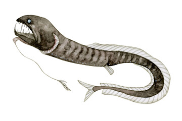 ミツマタヤリウオ　深海魚 深海生物　水彩 イラスト