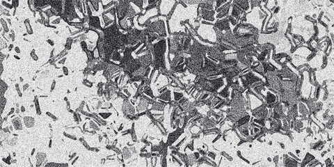 Abstract grayscale textured background with intricate geometric cellular patterns and fine grain noise, suggesting a microscopic view of cells or crystalline structures, ideal for science