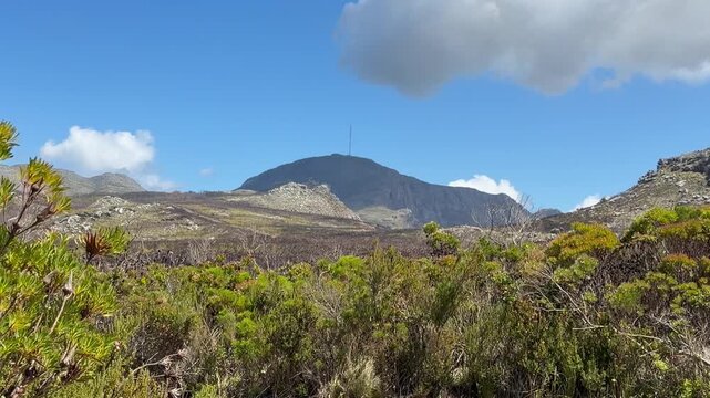 Tokai Mountains near Cape Town, South Africa, as seen from Silvermine nature reserve.