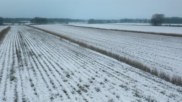 Snow-covered agricultural fields under a cloudy winter sky.