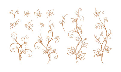 Fototapeta premium Here’s a collection of vines and shoots, isolated on a white background. The line art style really stands out. These lovely plant silhouettes are ideal for logos, eco designs