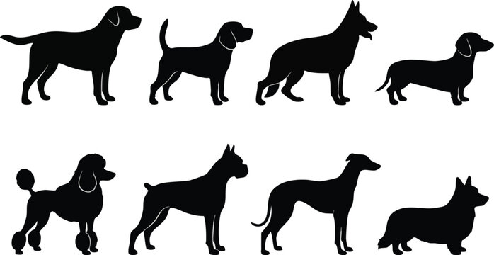 Various Breeds of Dogs Silhouette Collection.