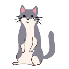 Obraz premium Cute Gray and White Cat Sitting Illustration Isolated on Transparent Background, Adorable Cartoon Kitty PNG