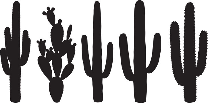 Arid Cactus Plant Elements for Dry Landscapes