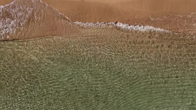 Aerial top view of gentle ocean waves washing over a pristine sandy shore on Eua Island, Kingdom of Tonga, where deep blue water meets soft golden beach in rhythmic motion.