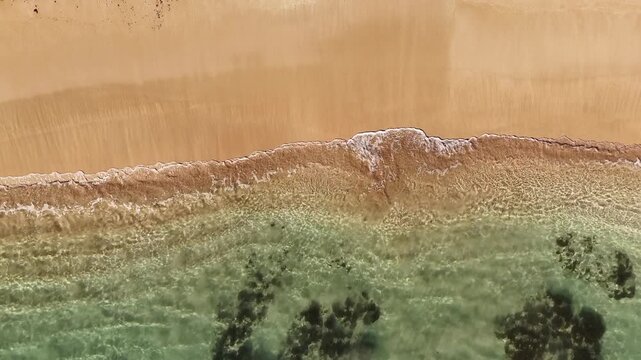Aerial top view of gentle ocean waves washing over a pristine sandy shore on Eua Island, Kingdom of Tonga, where deep blue water meets soft golden beach in rhythmic motion.