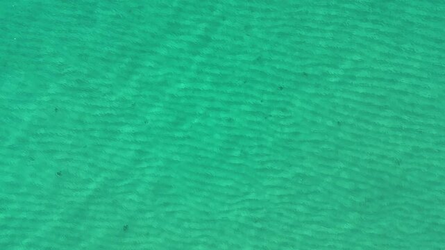Top-down drone view above Eua Island, Kingdom of Tonga, capturing a natural pattern of pure turquoise water where delicate sandy ripples shimmer beneath the crystal-clear tropical sea