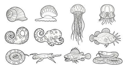 Collection of hand-drawn marine animals © milenialdesastudio