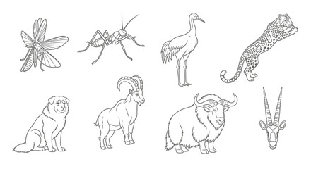 Collection of diverse animal line art illustrations on a white background.