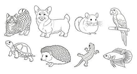 Set of cute pet animals outline illustrations on white background.
