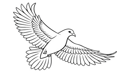 Obraz premium Black and white line of a dove in mid flight with outstretched wings bird flying