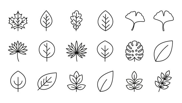 Collection of various leaf illustrations.