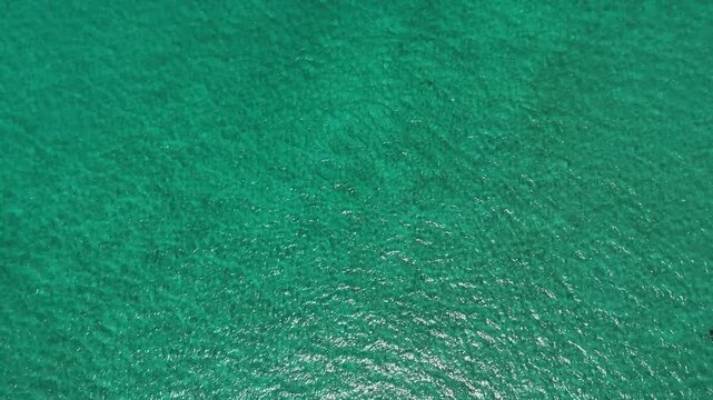 Top-down drone view of pure turquoise water near Eua Island, Kingdom of Tonga, capturing crystal-clear tropical sea surface with minimalistic composition and serene Pacific atmosphere.