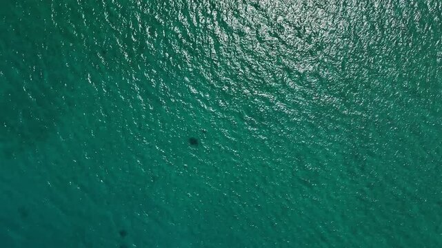 Top-down drone view of pure turquoise water near Eua Island, Kingdom of Tonga, capturing crystal-clear tropical sea surface with minimalistic composition and serene Pacific atmosphere.