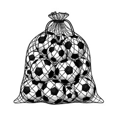 A mesh bag filled with numerous black and white soccer balls