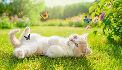 An adorable Easter bunny sits nestled in the green grass surrounded by colorful Easter eggs