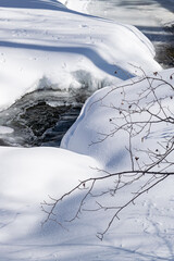 Obraz premium Frozen Creek in Aspen, Colorado