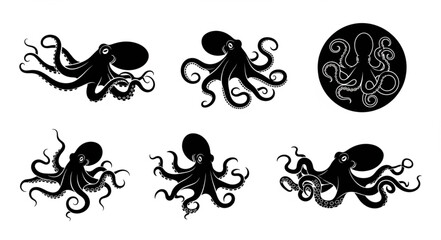 Collection of six black octopus illustrations in different poses. © Tanto