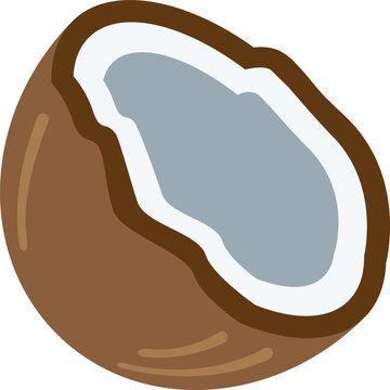 Tropical coconat vector illustration