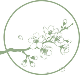 Cherry Flower Vector Design