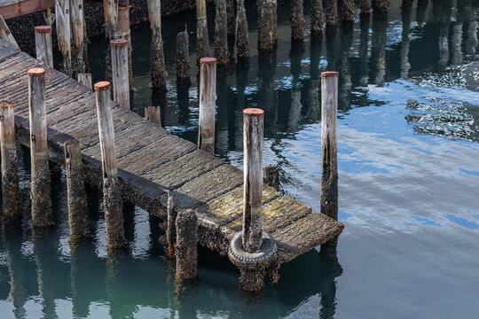 Old weathered wooden pier extends over calm waters in forgotten marina. Single tire fender hangs from barnacle-covered piling above low tide surface reflecting sky and dilapidated dock structure.