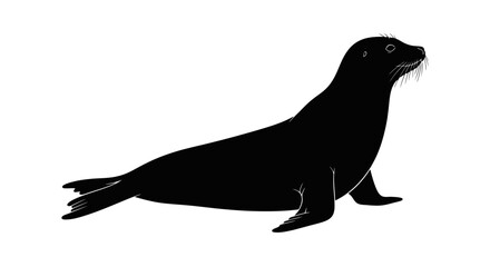 Silhouette of a seal on a white background. © Yadi