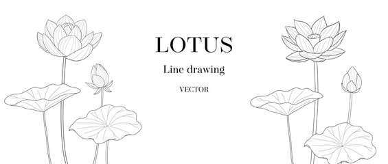 ハスの花と蕾の線画ベクターイラスト